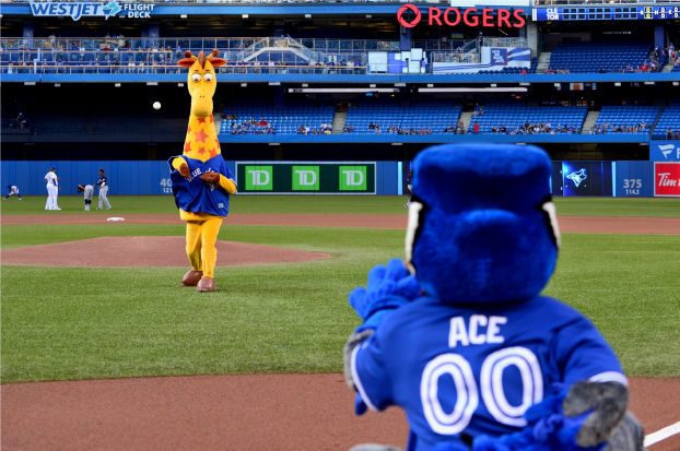 Ace, the Blue Jays Mascot